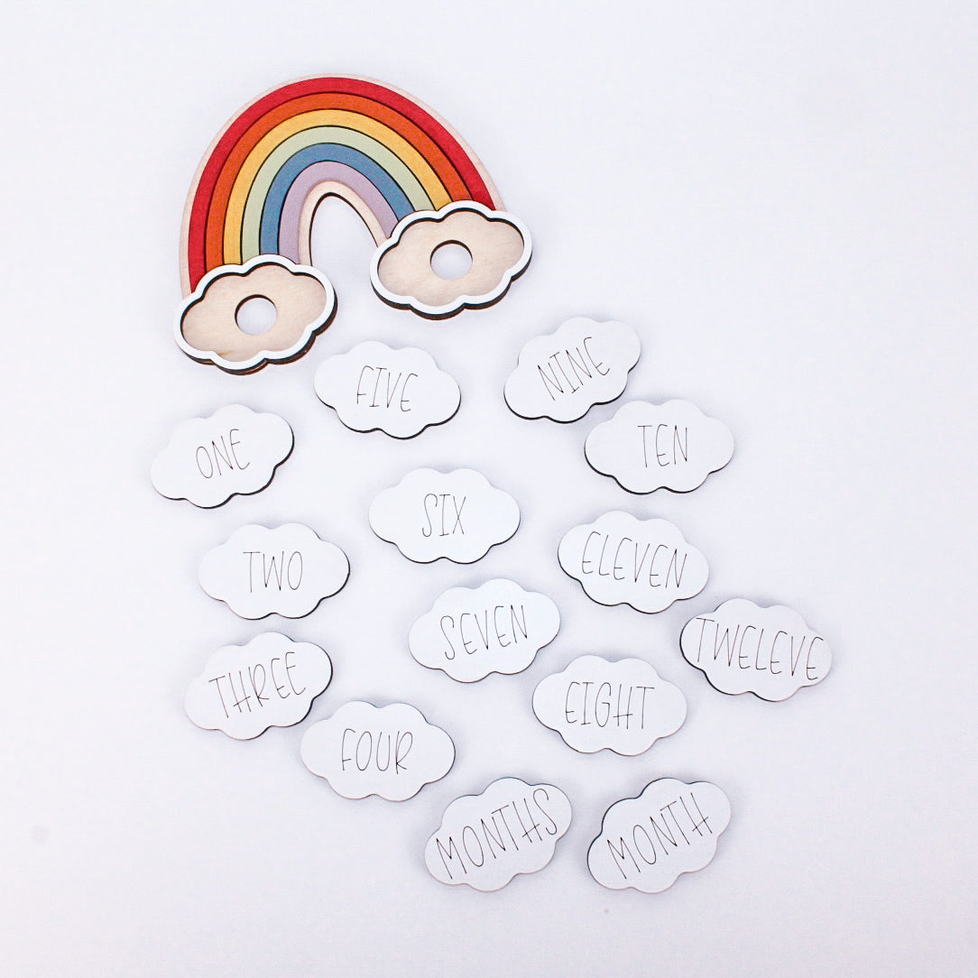 Rainbow Baby Monthly Markers