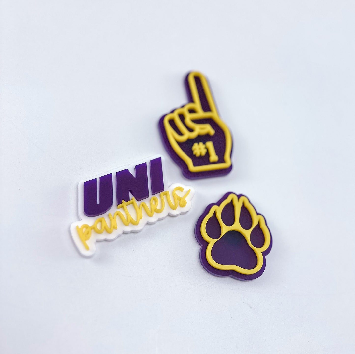Panthers - Acrylic Magnet Set