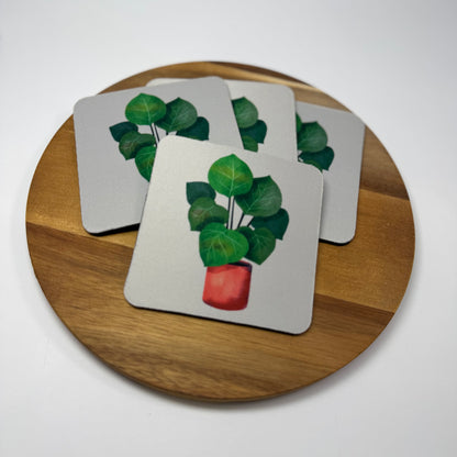 Ficus Coaster