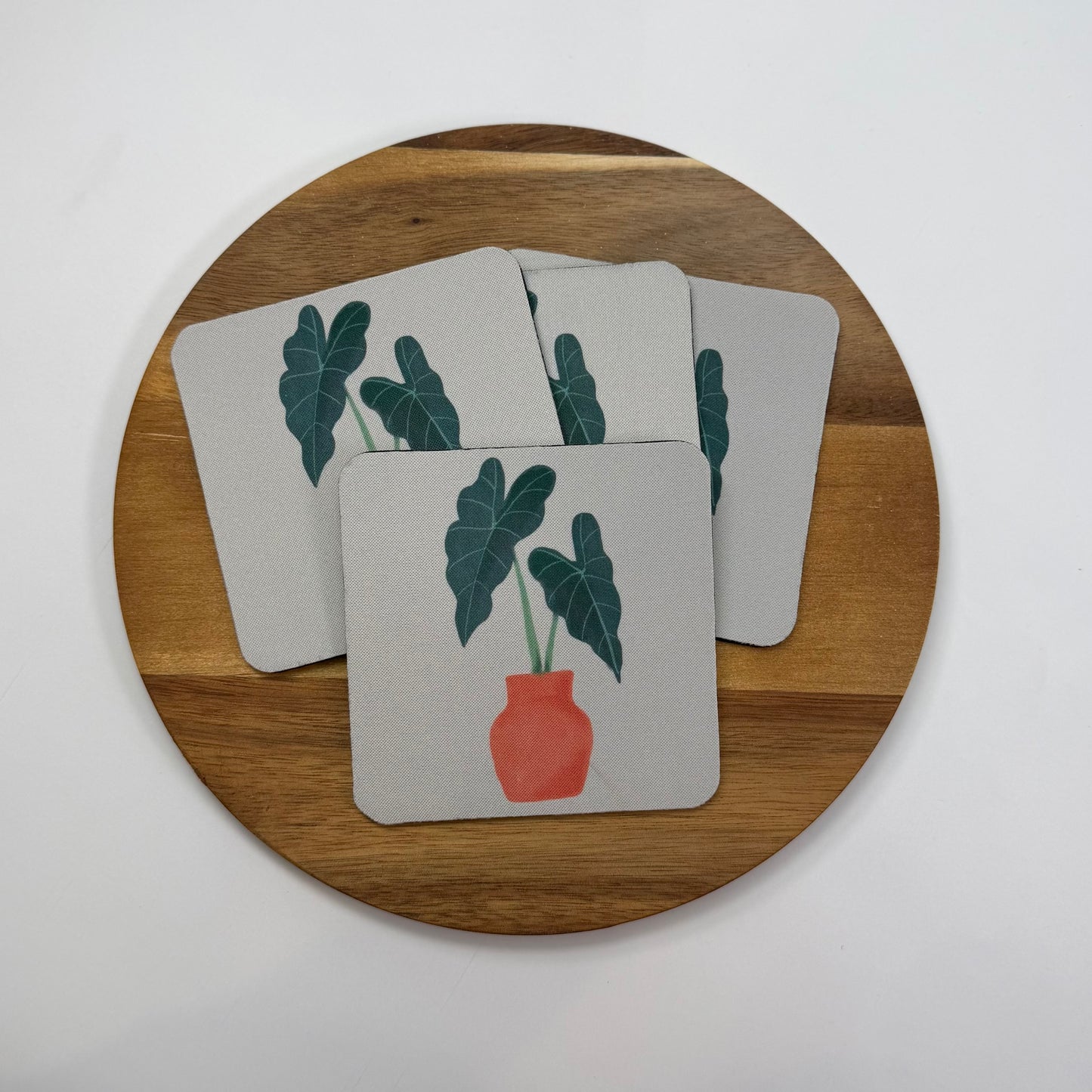 Alocasia Coaster