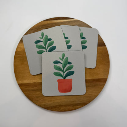 Rubber Plant Coaster