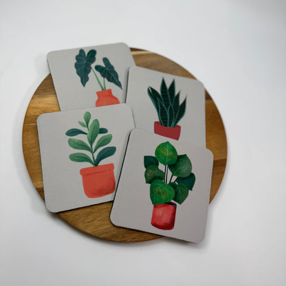Ficus Coaster