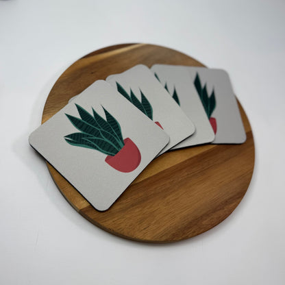 Snake Plant Coaster