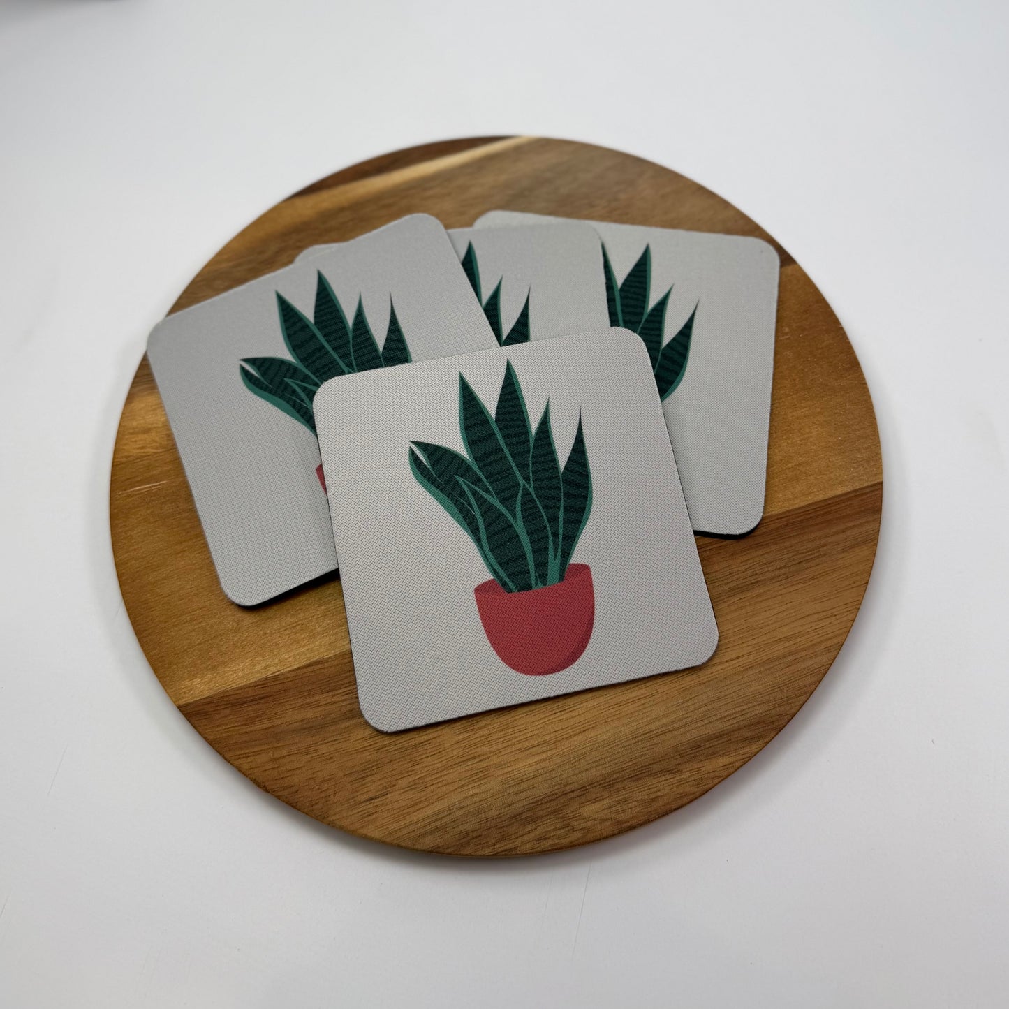 Snake Plant Coaster