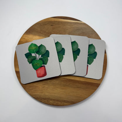 Ficus Coaster