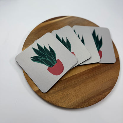 Snake Plant Coaster