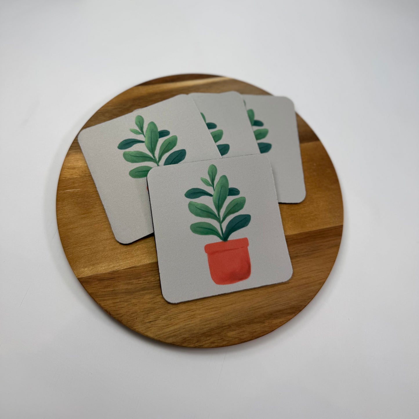 Rubber Plant Coaster