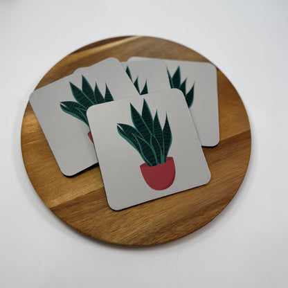 Snake Plant Coaster