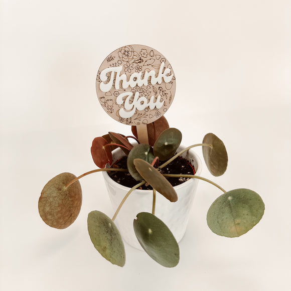 Thank You - Plant Stake