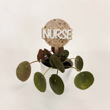 Nurse - Plant Stake