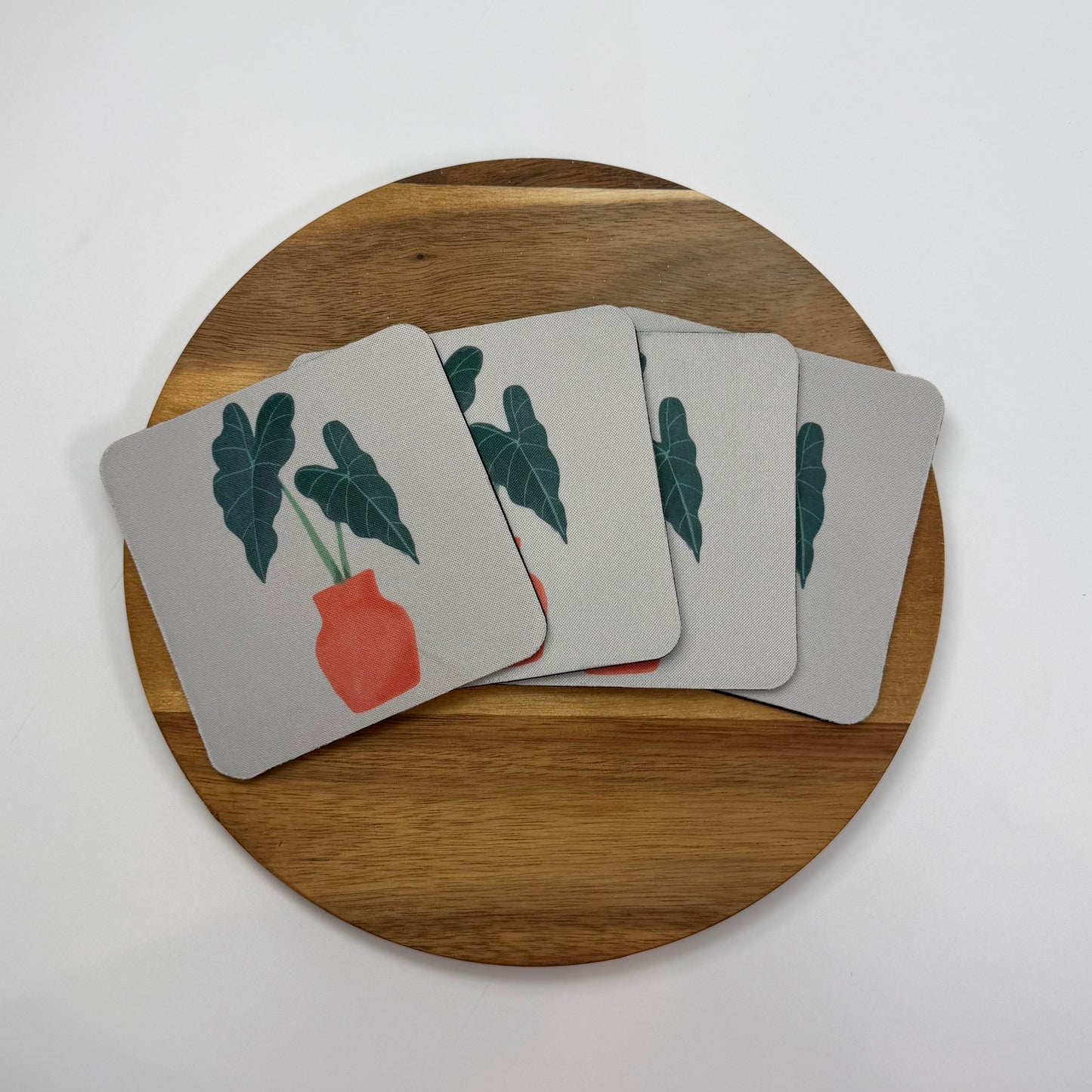 Alocasia Coaster