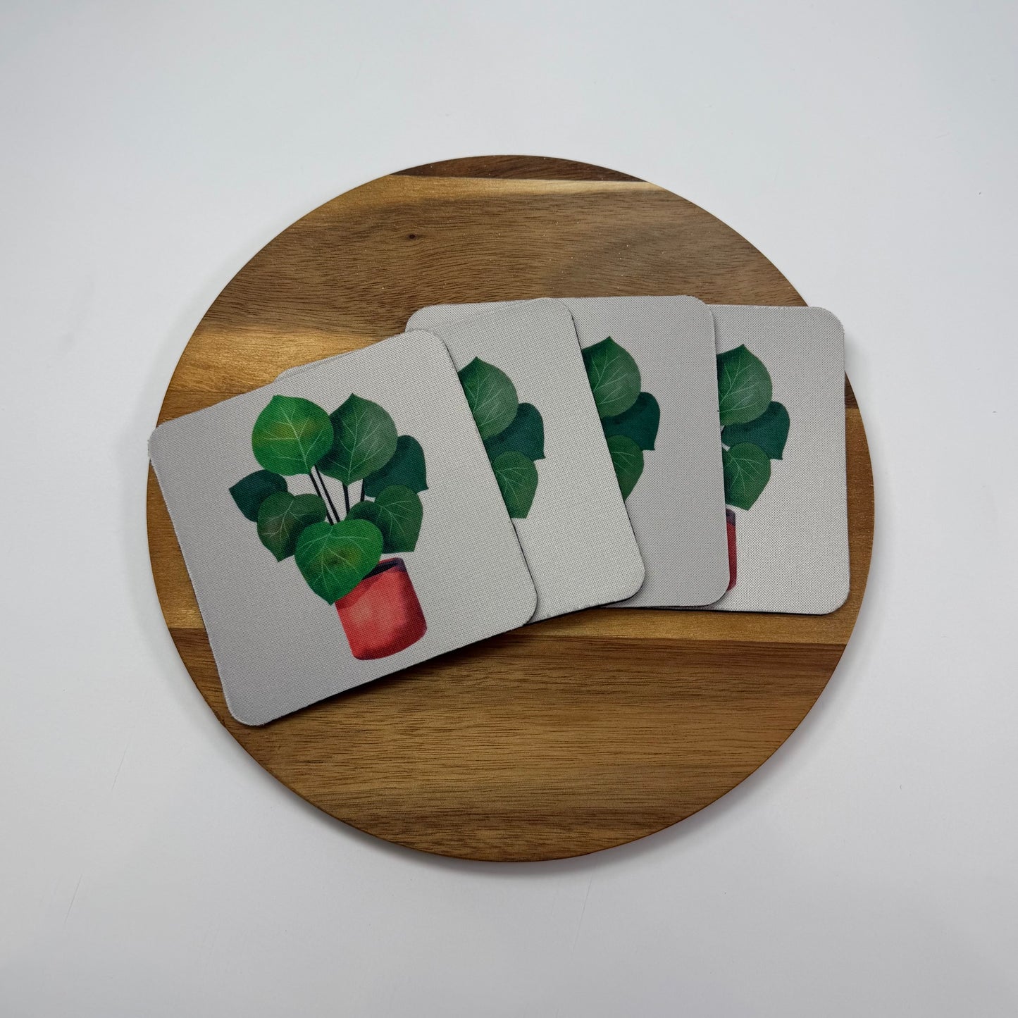 Ficus Coaster