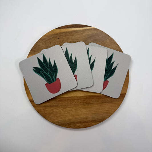 Snake Plant Coaster