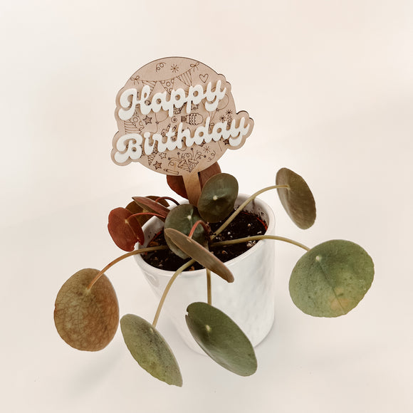 Happy Birthday - Plant Stake