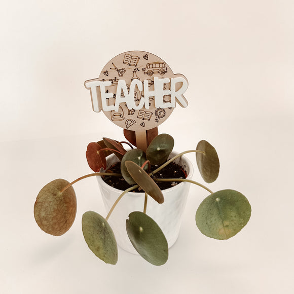 Teacher - Plant Stake