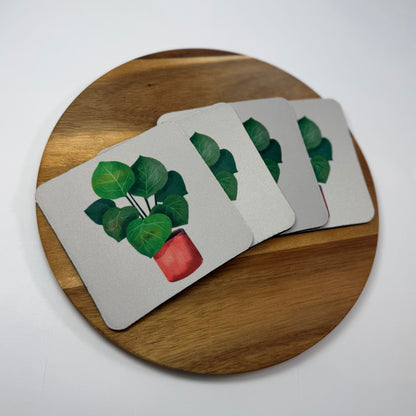 Ficus Coaster