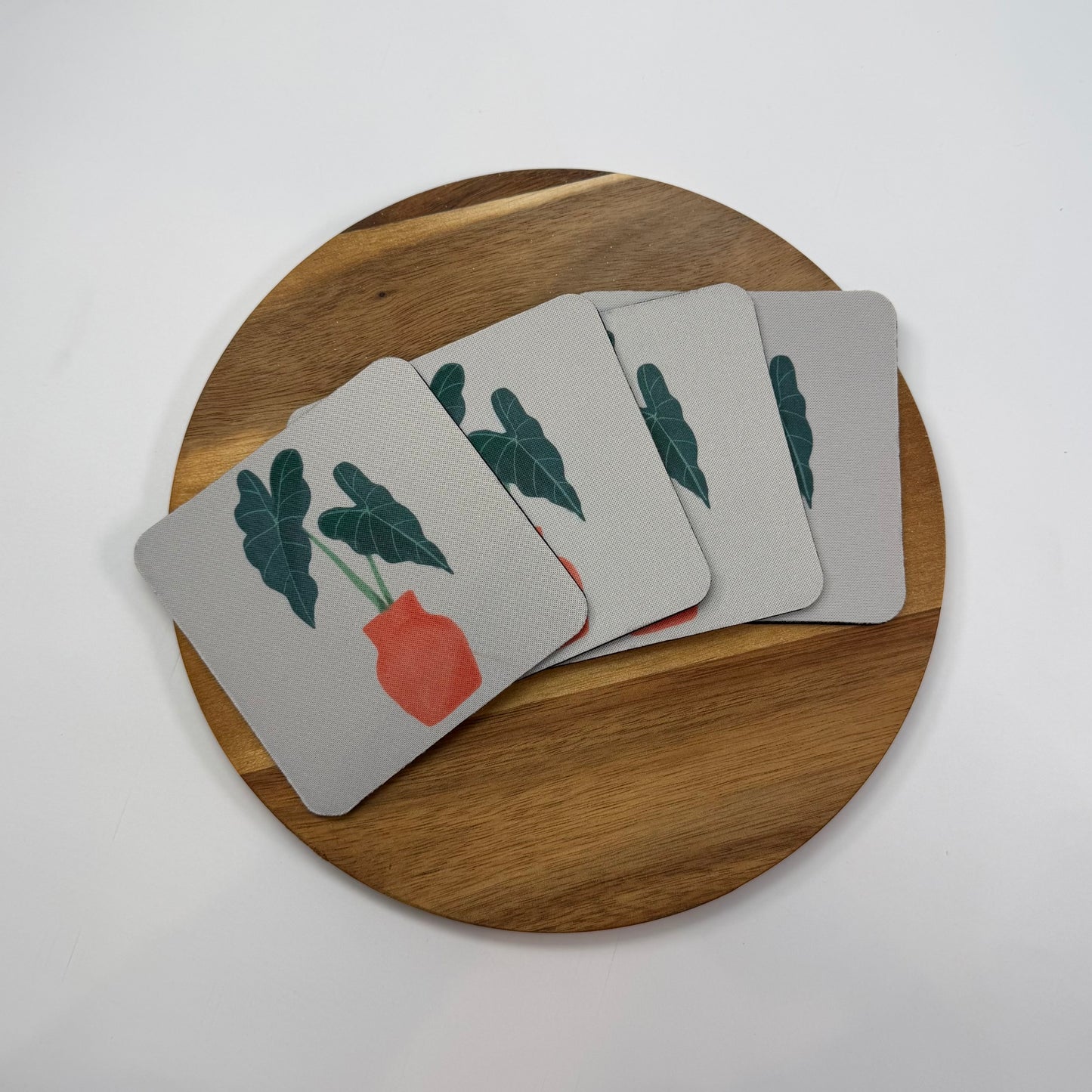Alocasia Coaster