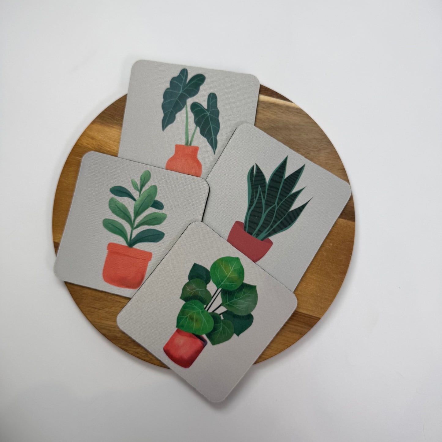 Ficus Coaster