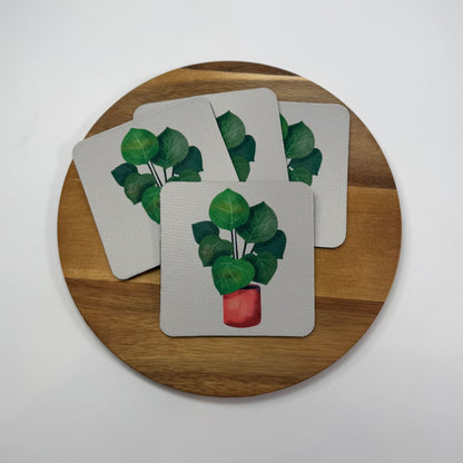 Ficus Coaster