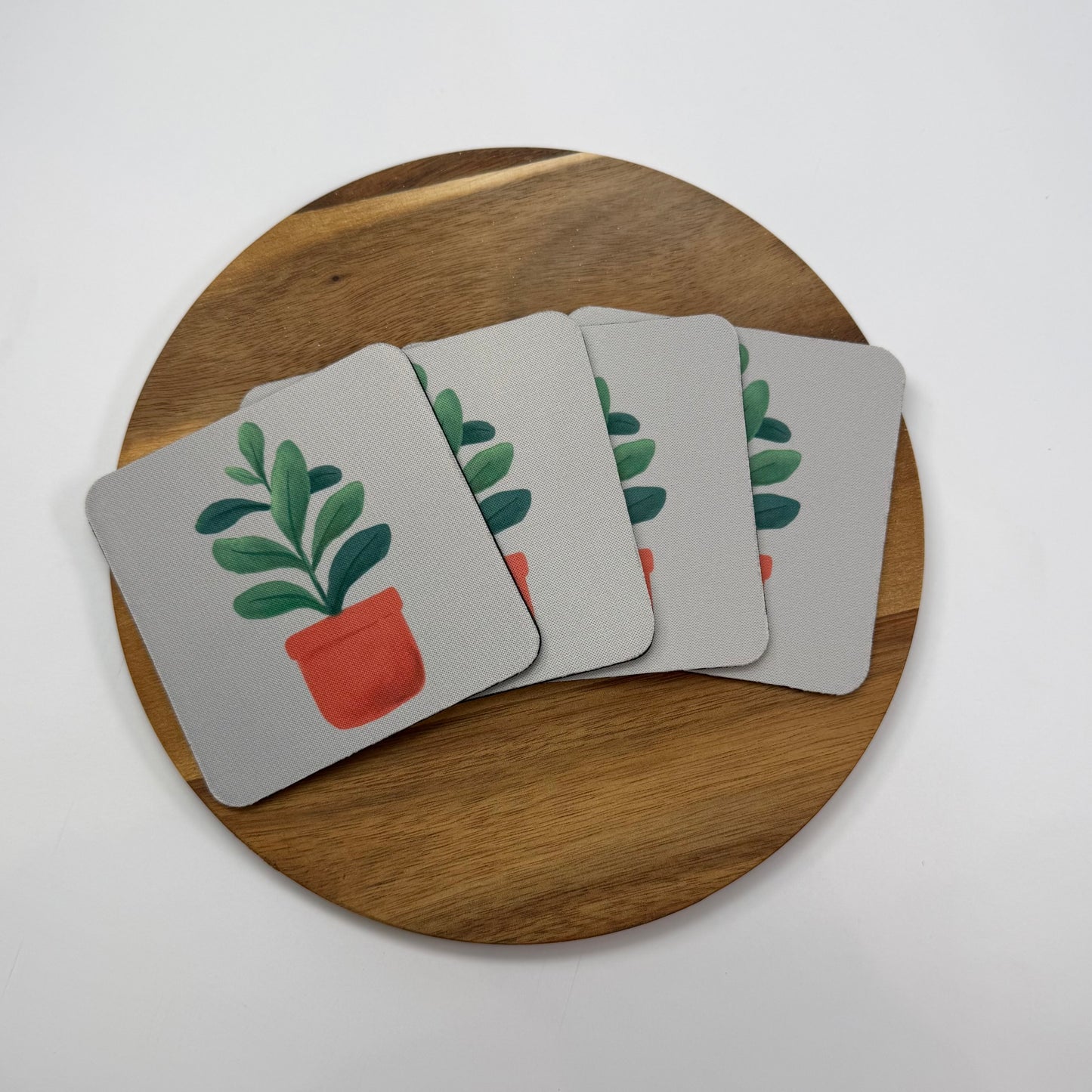 Rubber Plant Coaster