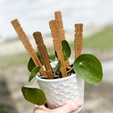 Funny Plant Stake Pack